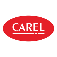 Carel Carel